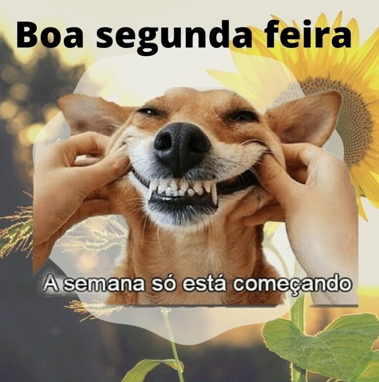 Frases Engra Adas De Bom Dia Segunda Feira Animada E Fofas