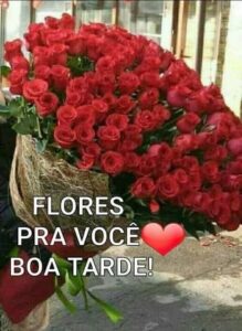 Imagens De Boa Tarde Mensagens E Belas Flores