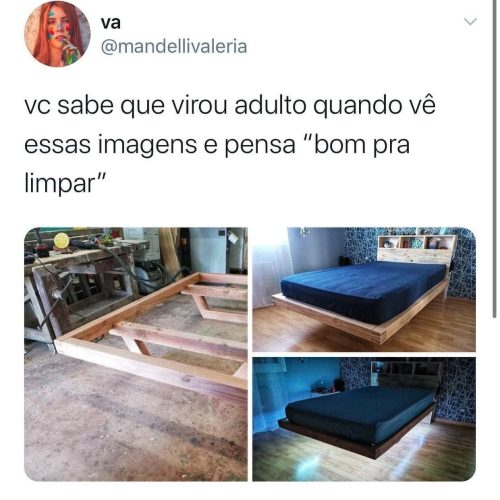 A vida de um adulto