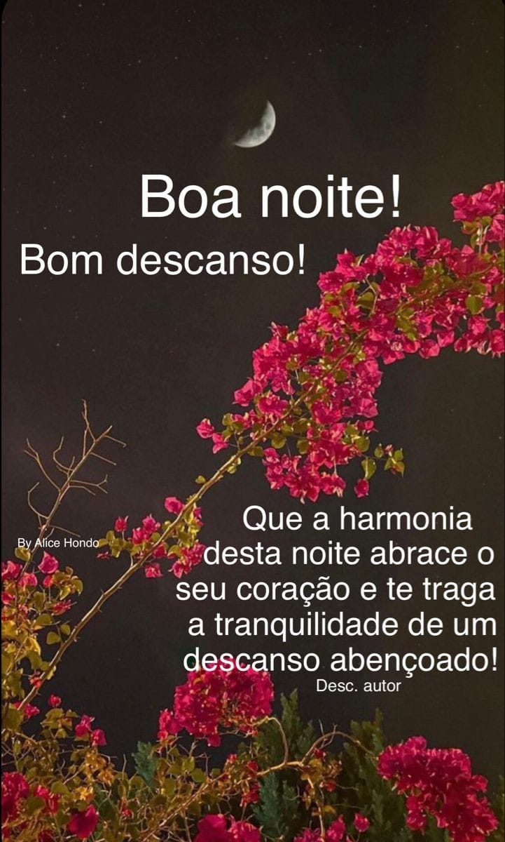 Com uma noite de homônima e descanso