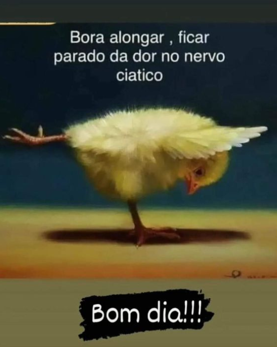 Memes Engraçados para Whatsapp com Belas Frases e Imagens