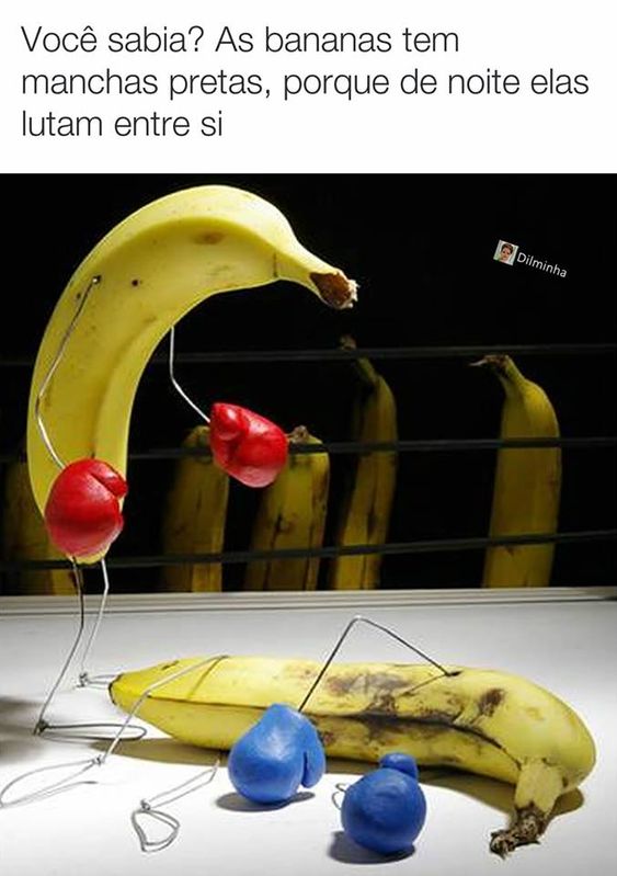 Memes engraçados bananas lutando