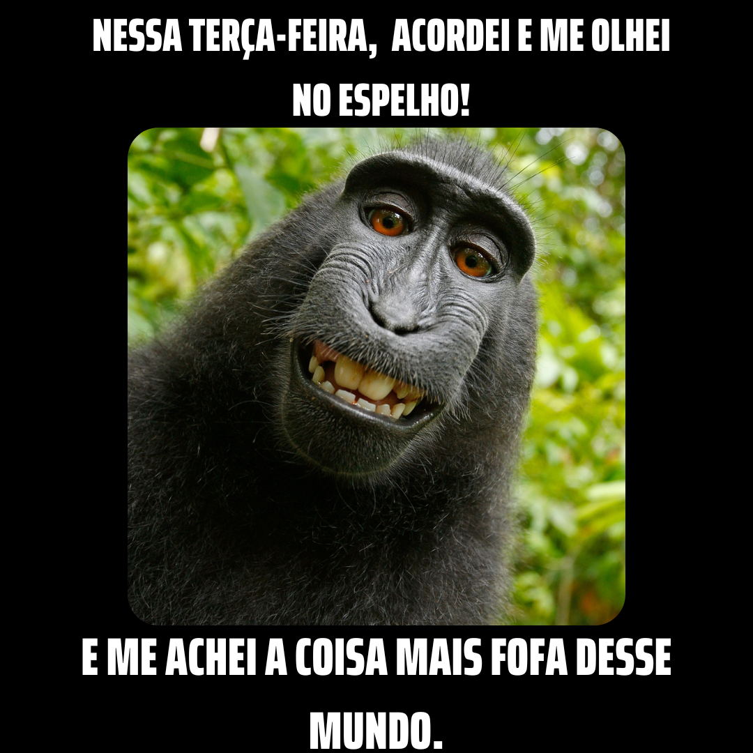 37 Frases engraçadas de Terça-feira para colocar um Sorriso no Rosto