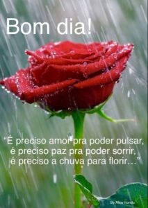 Imagens e Frases Bom dia com Chuva para uma Manhã aconchegante