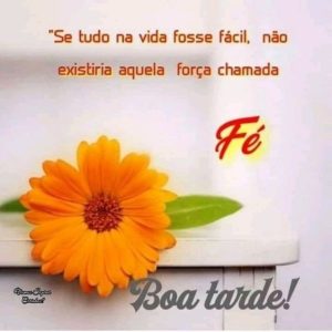 40 Frases de boa tarde para status com imagens lindas e especiais